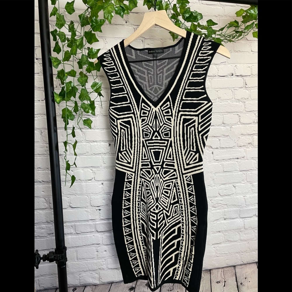 Jealous Tomato | Bodycon Dress Medium